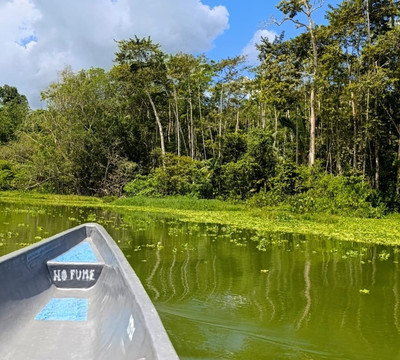 Reserva Biológica Limoncocha-Limoncocha必去景点