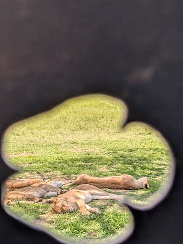 Wild Plus Escapades-马林地必去景点