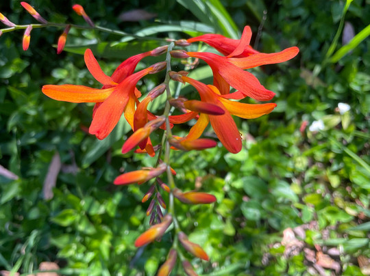 Strzelecki Trail Route 94-Tarra Valley必去景点