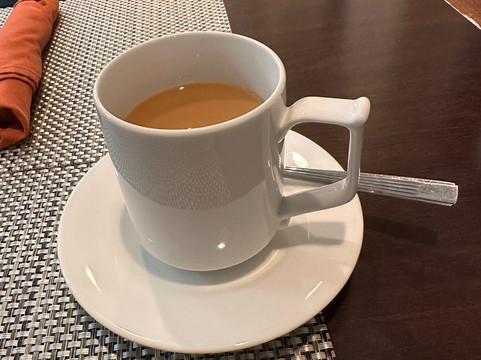 阿尔巴尼希尔顿花园酒店主图