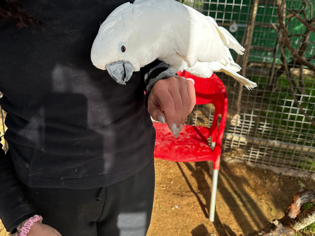 Quinta Fotoplanet Farm-阿尔布赞拉必去景点