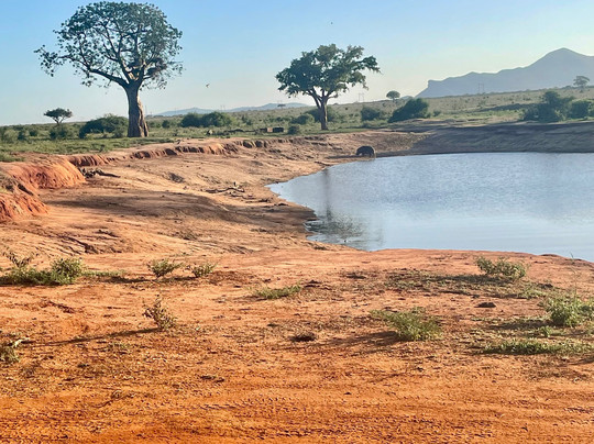 Safari In Kenya Con Matteo-瓦塔木必去景点