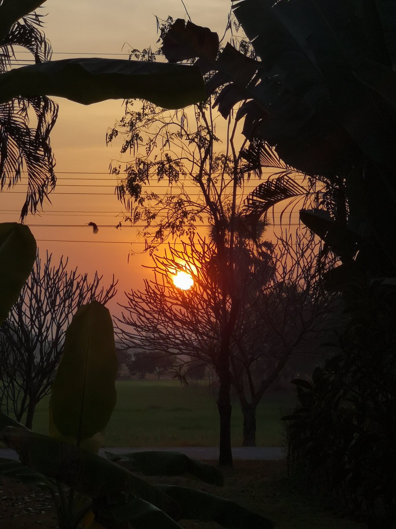 素可泰宝藏Spa度假村-官方