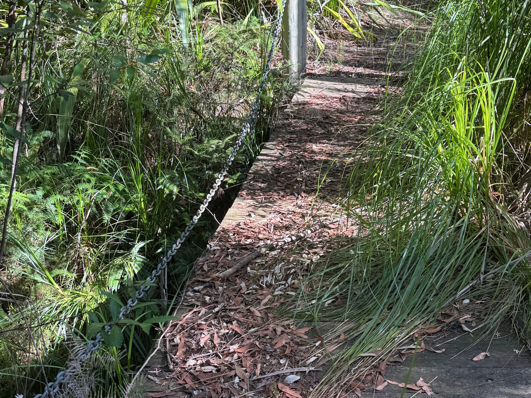 努纳维纳假日公园主图