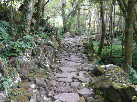Poco da Ribeira do Ferreiro-Flores必去景点