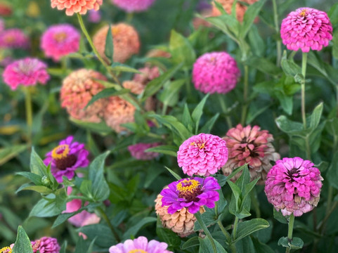 Comarca Las Liebres主图