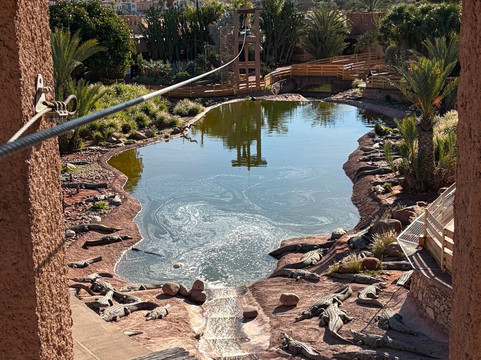 Crocoparc-阿加迪尔必去景点