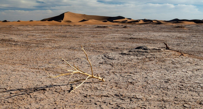 nomadic life-迈哈米德必去景点