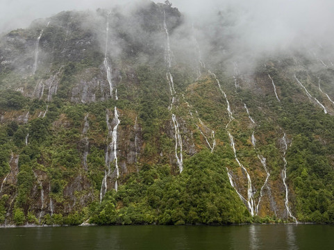 Wild Kiwi Tours-奥克兰中心地区必去景点