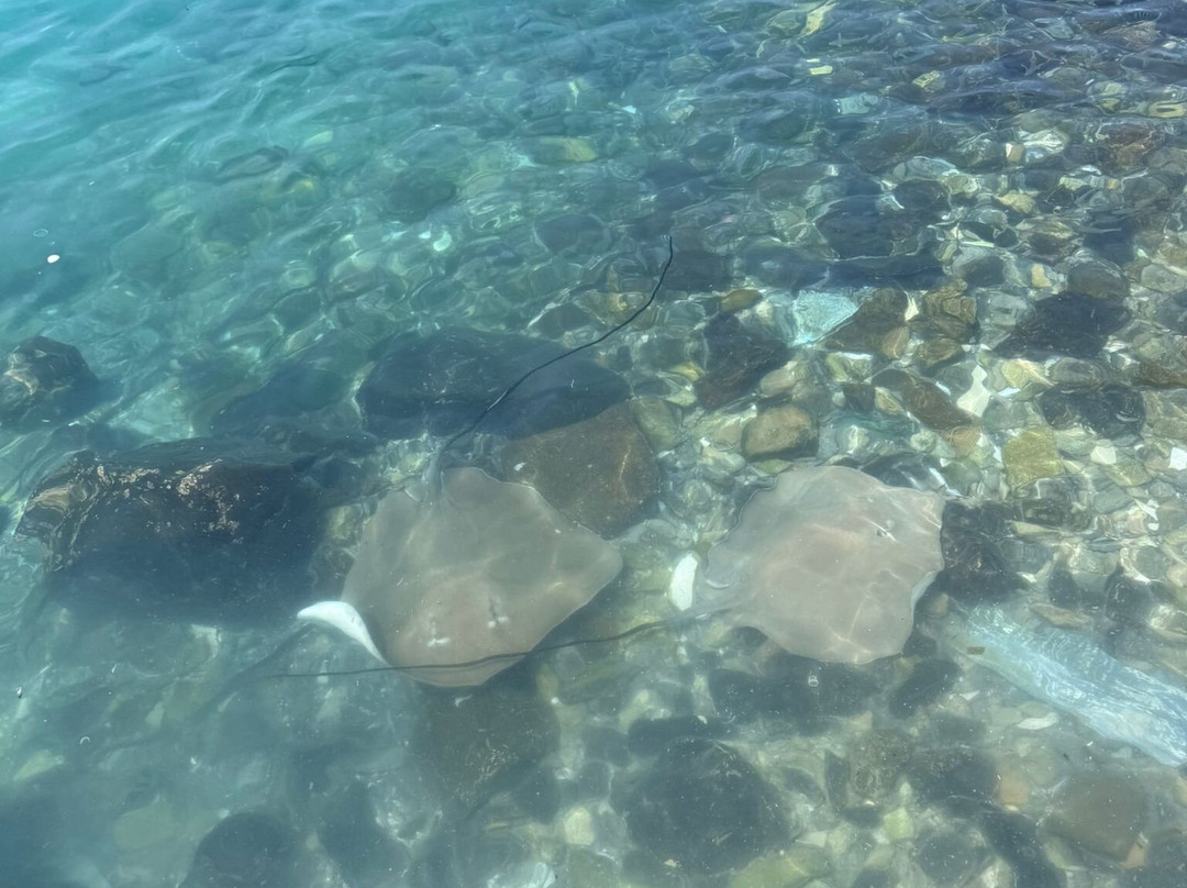 Tropic Trip Maldives-Gulhi Island必去景点