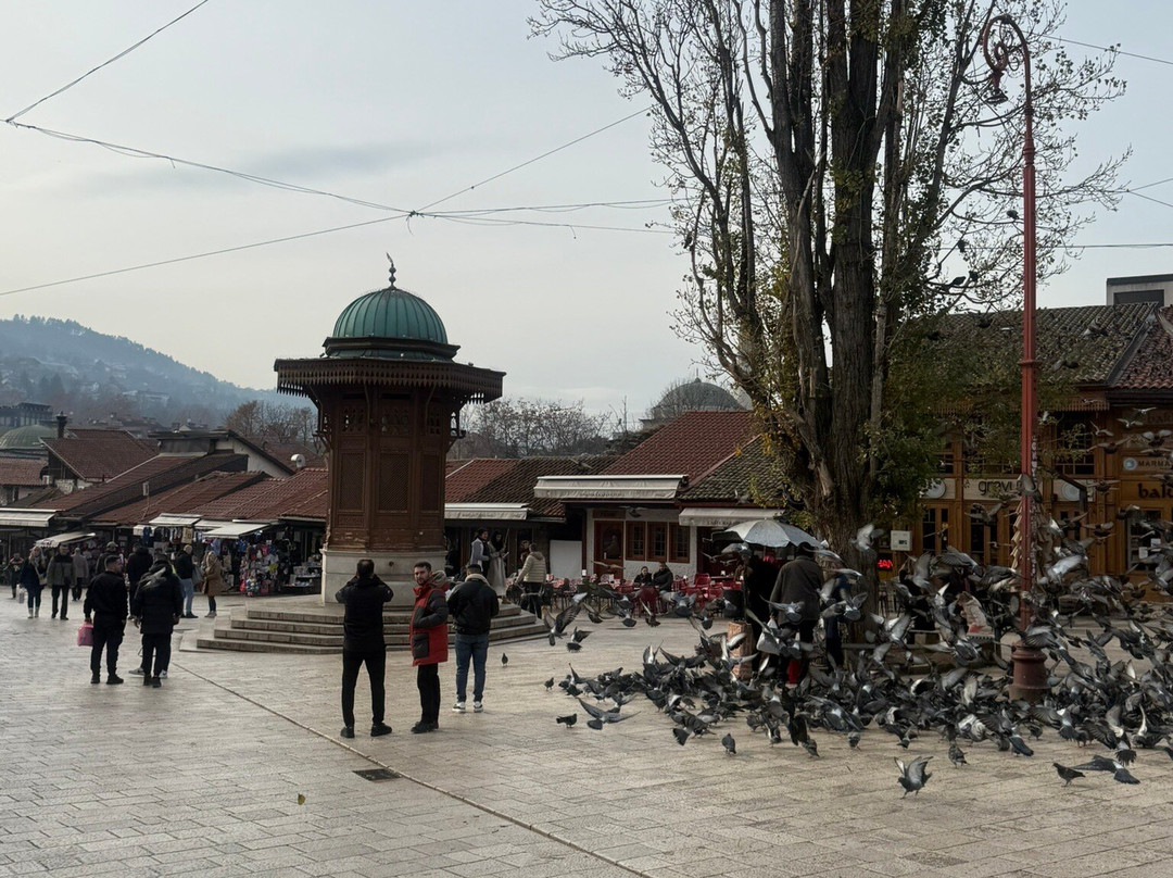 Ferhadija Pedestrian Street-萨拉热窝必去景点