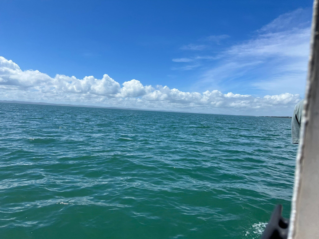 Hervey Bay Eco Marine Tours-赫维湾必去景点
