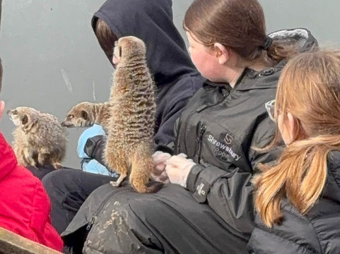 Hoo Zoo And Dinosaur World-特尔福德必去景点