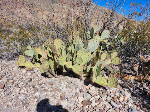 Big Bend Boating and Hiking Company-Terlingua必去景点