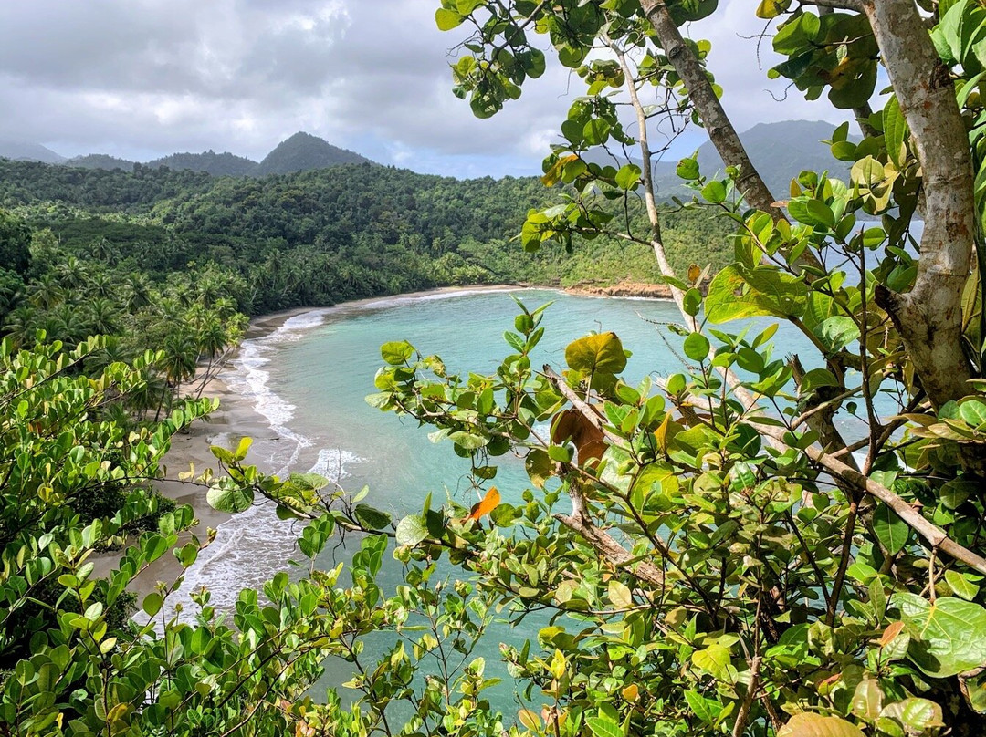 Batibou Beach-Hampstead必去景点