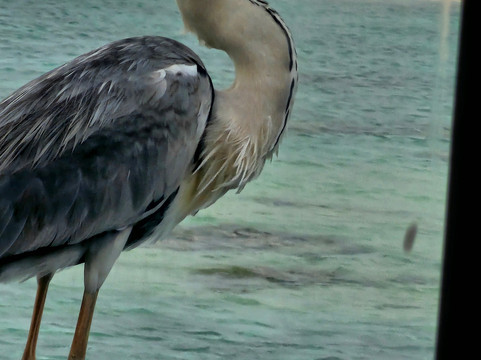 阿达兰瓦杜尊贵|尊享全包主图