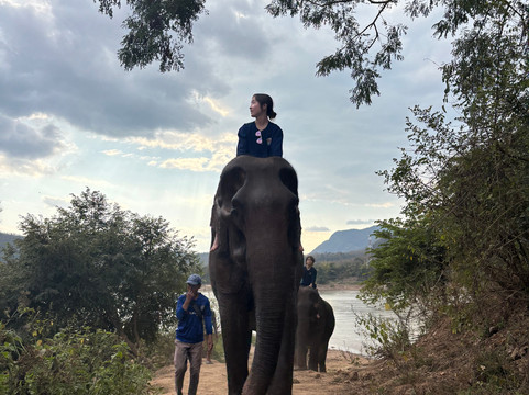 Manifa Elephant Camp-Sang Ha必去景点