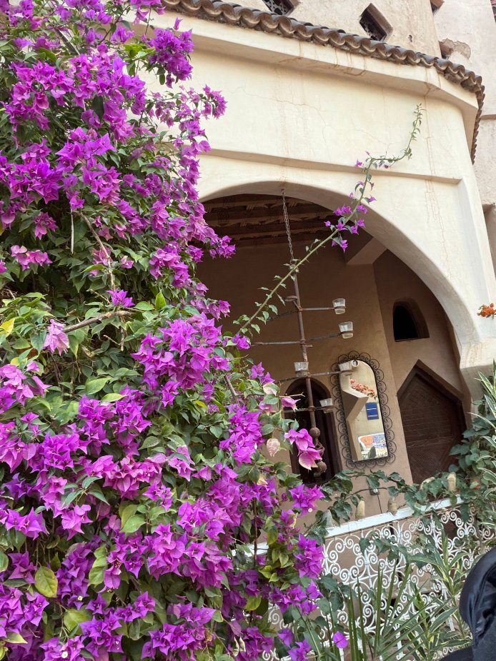 拉马内里亚德酒店-官方