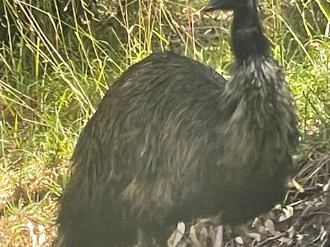 Wildlife Wonders-阿波罗湾必去景点