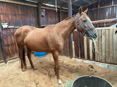 Heaven and Earth Trails-赫曼努斯必去景点