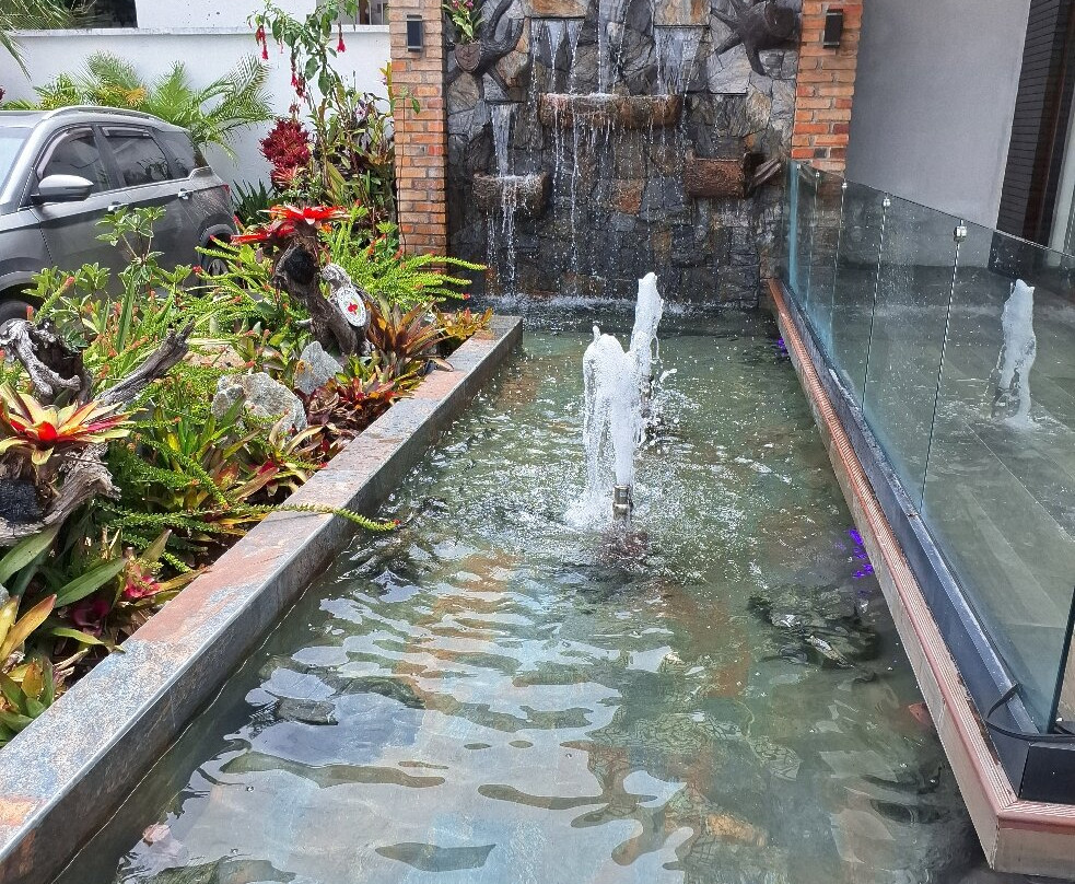 Ecuagenera - Orchids from Ecuador-昆卡必去景点