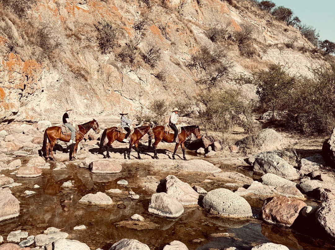 Rancho Xotolar-圣米格尔护城必去景点