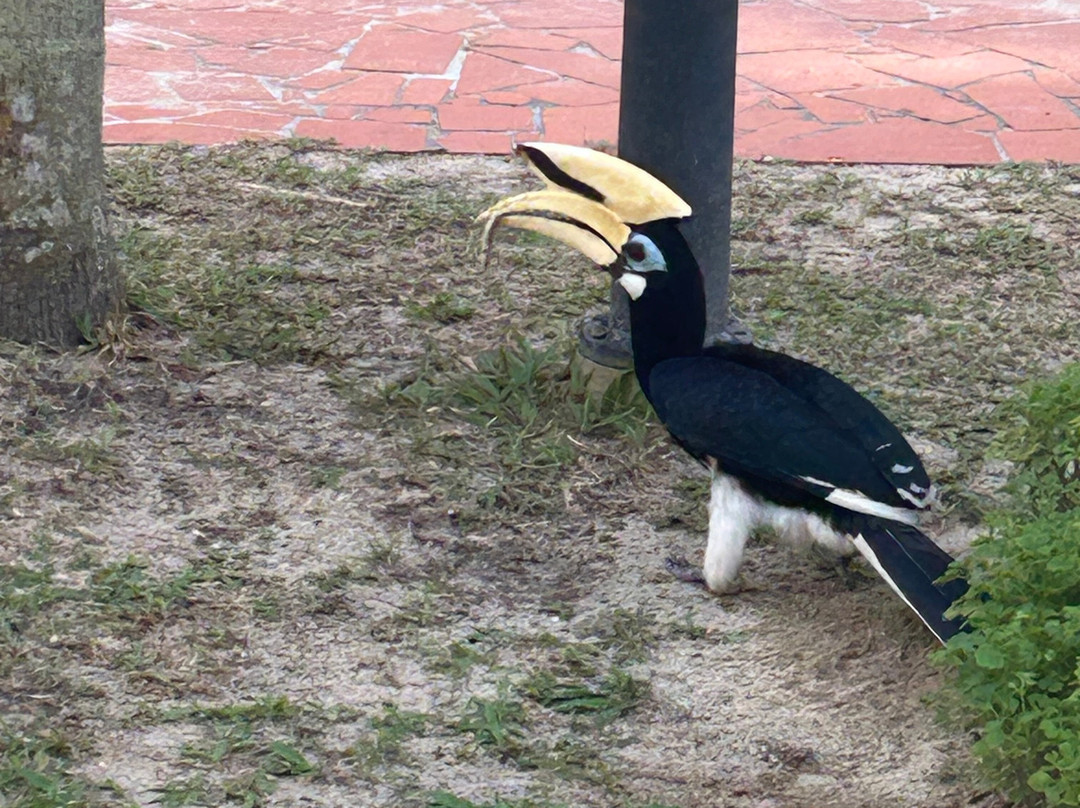 安君甘海滩度假村主图