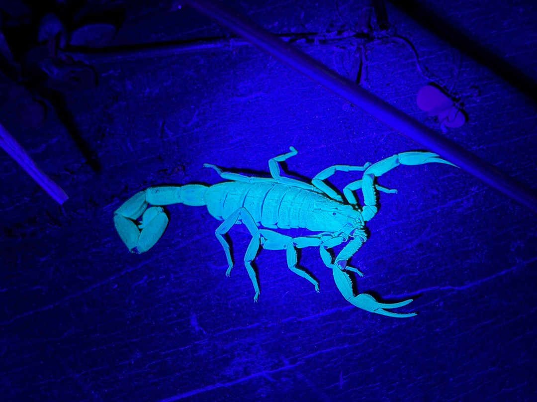 Finca Modelo Ecologica-蒙特沃德必去景点