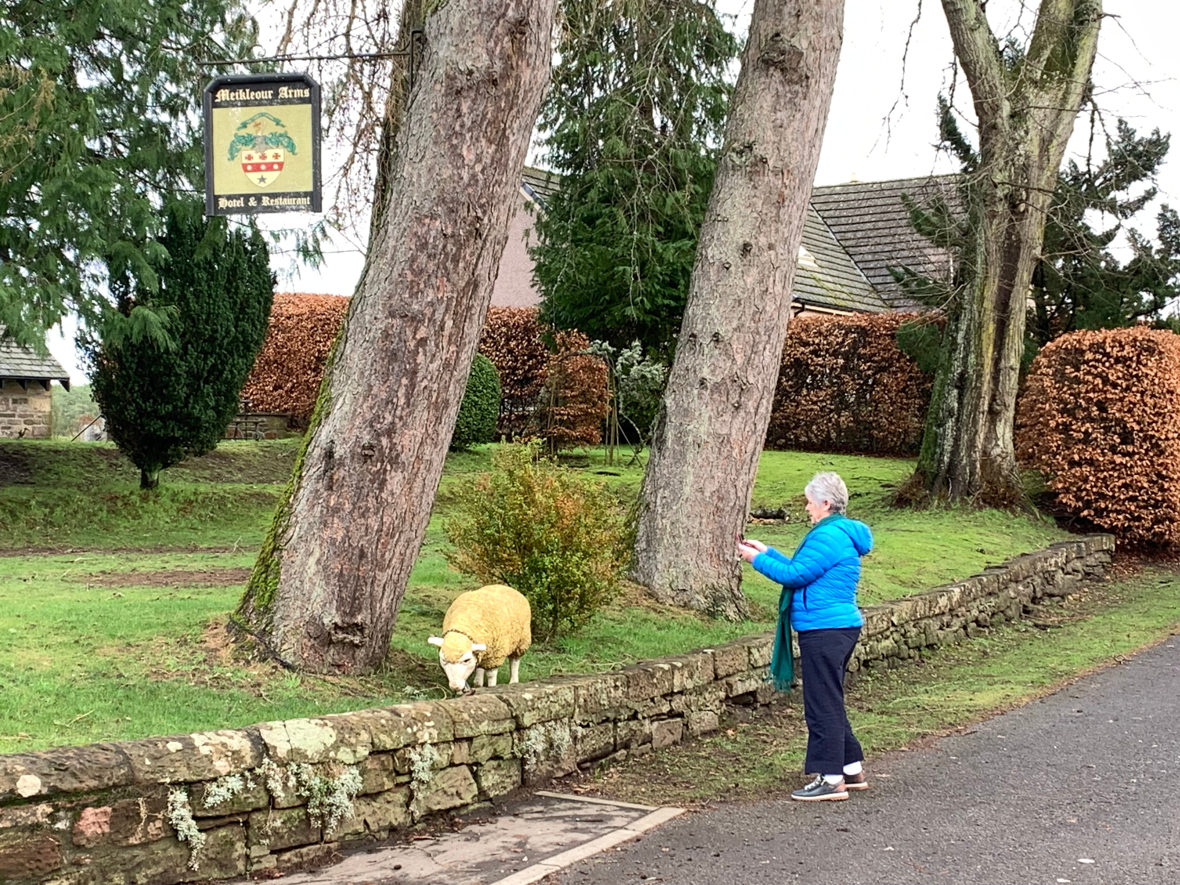 梅卢尔亚姆斯酒店及餐厅-官方