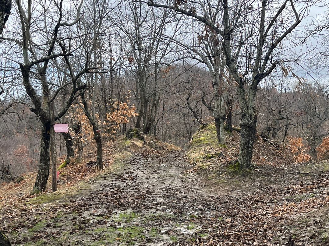 Area Archeologico- Naturalistica di Monte Bibele-Monterenzio必去景点