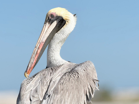 Río Lagartos Experience By Jorge N-里奥拉加托斯必去景点