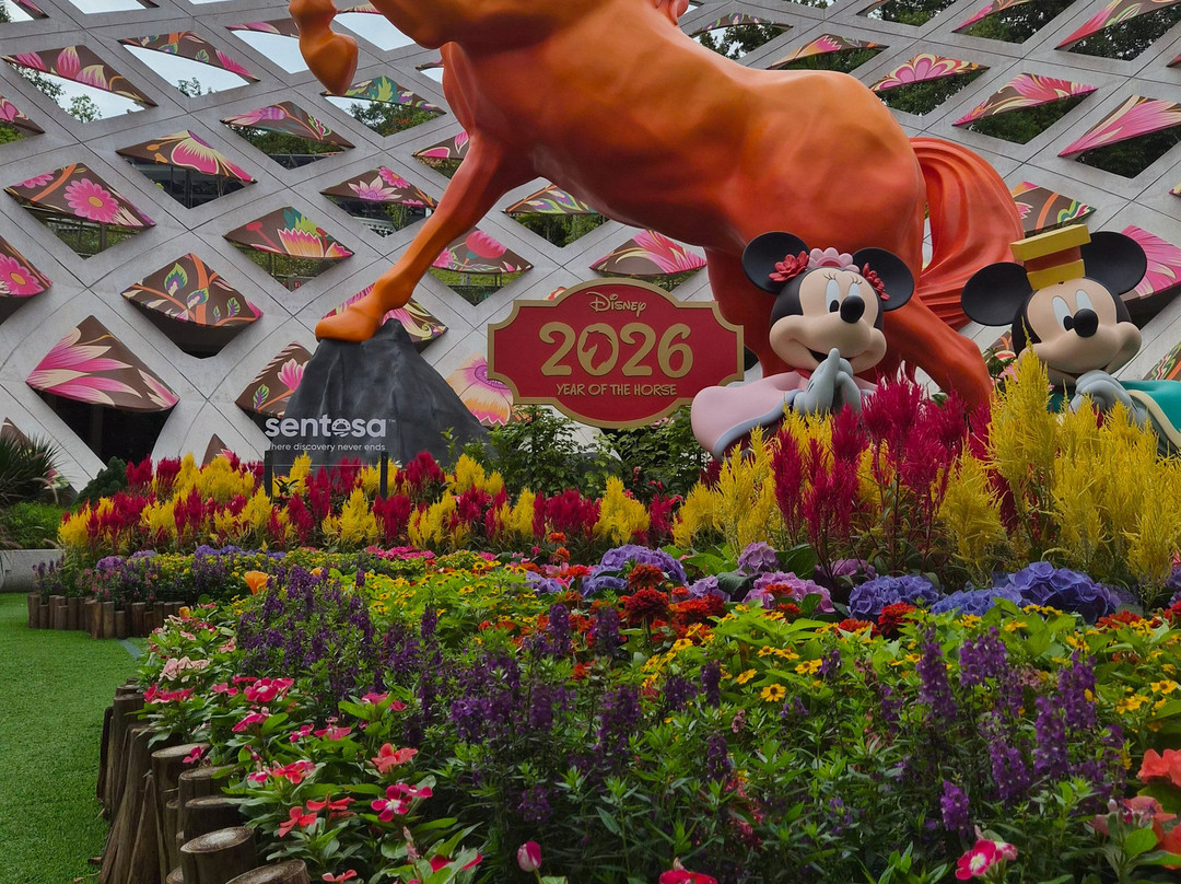 Sentosa SensoryScape-新加坡必去景点