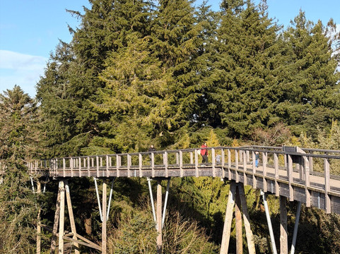Treetop Walk Avondale-Rathdrum必去景点