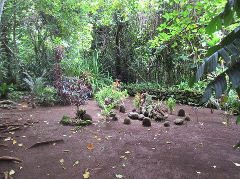 Pepeyo Cultural and Educational Tour-维拉港必去景点