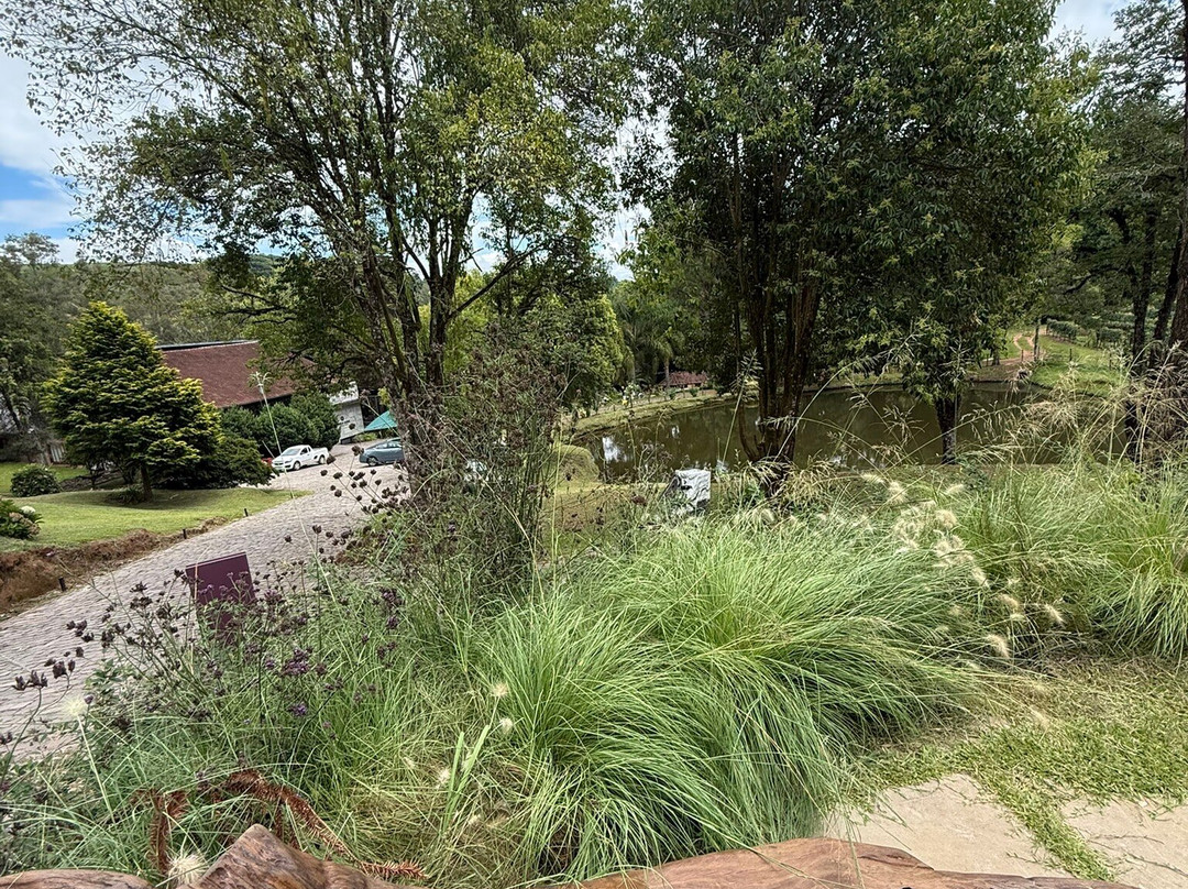 Cave Geisse-Pinto Bandeira必去景点