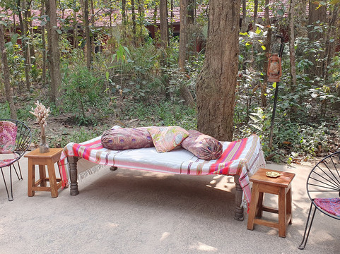 Kanha Jungle Lodge主图