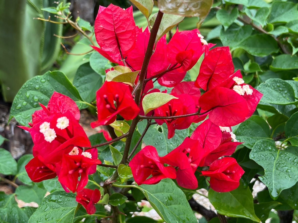 Le Soleil d'Or-浴室