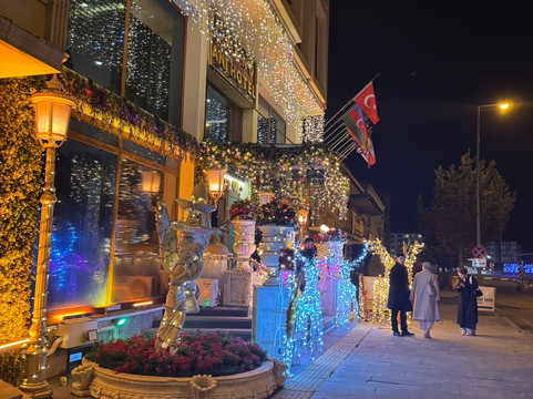 安妮大酒店主图