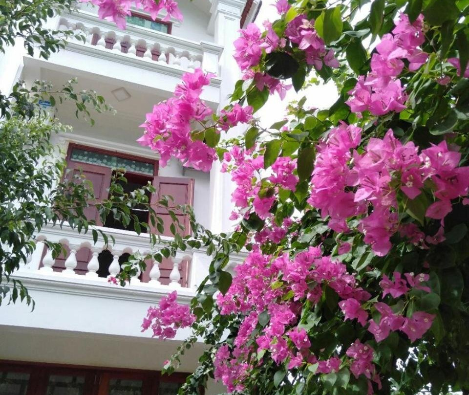 Bolero Homestay