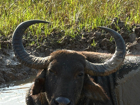Freedom Safari Jeep Tours-蒂瑟默哈拉默必去景点