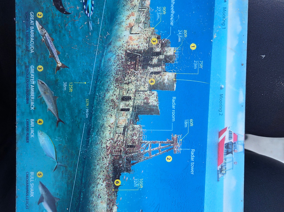 Captain Slate's SCUBA Adventures-Tavernier必去景点