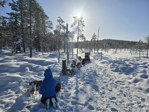 Wild Lapland-Rusktrask必去景点