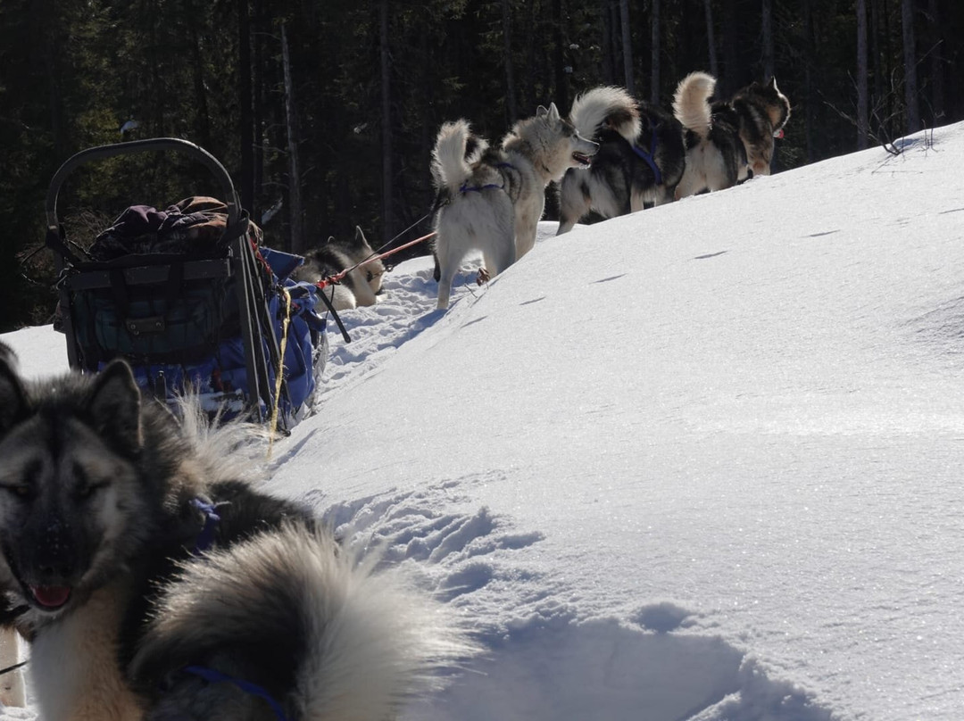 Aventuraid-Girardville必去景点