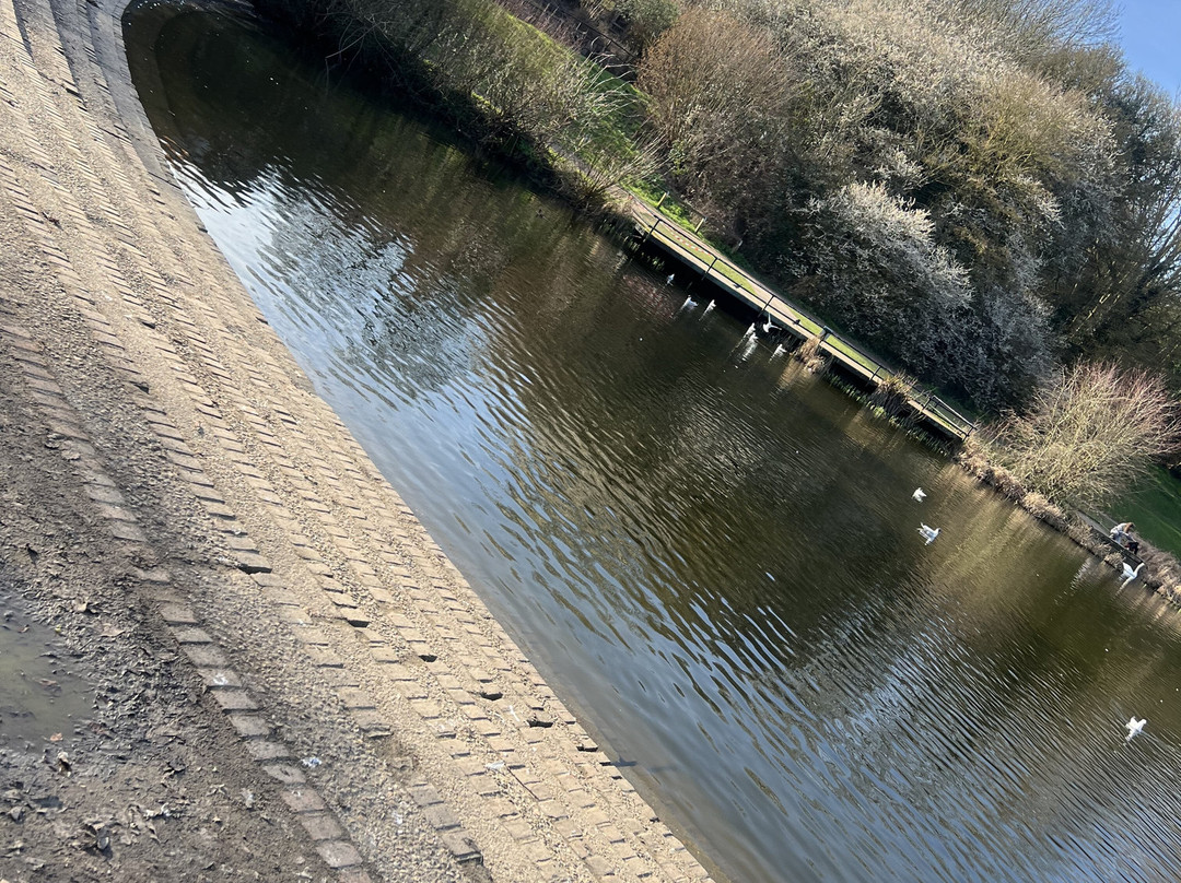 Capstone Farm Country Park-吉林汉姆必去景点