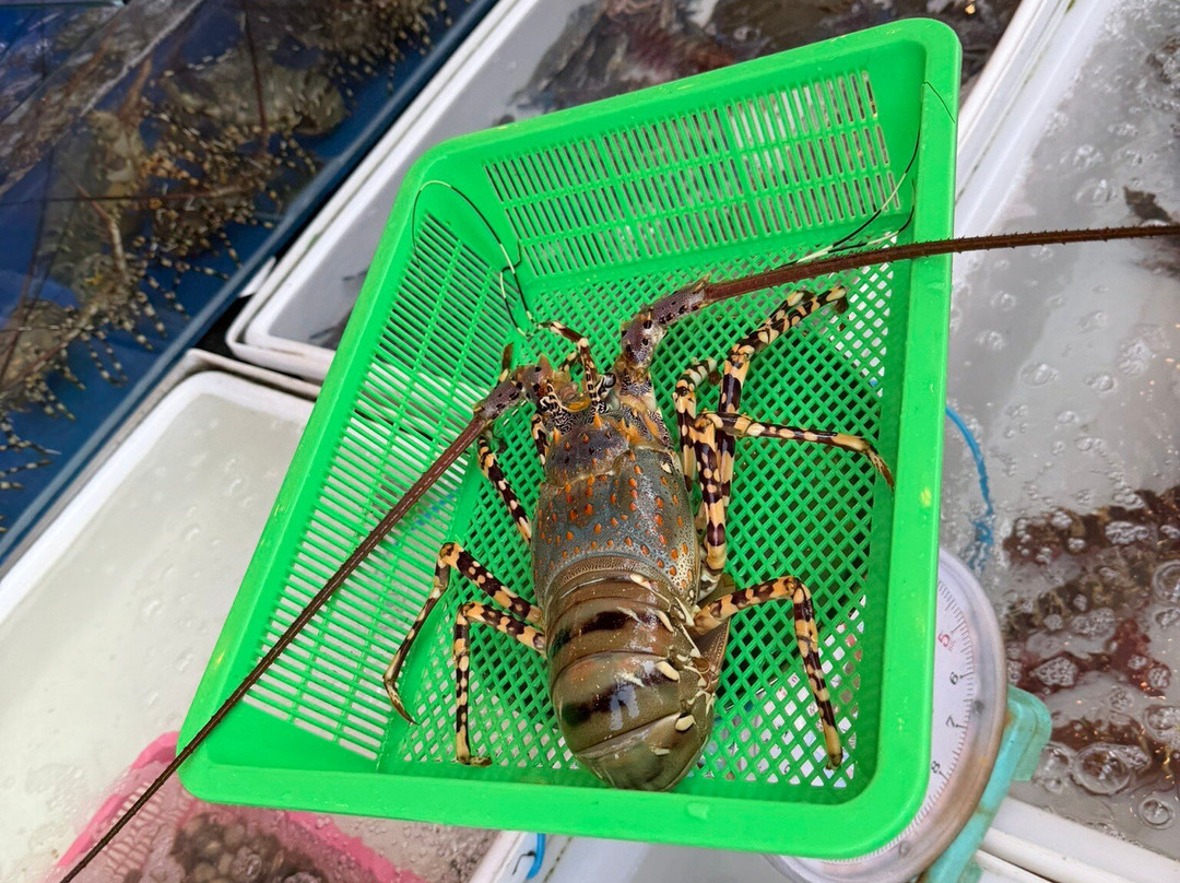 海鲜市场-拉威必去景点