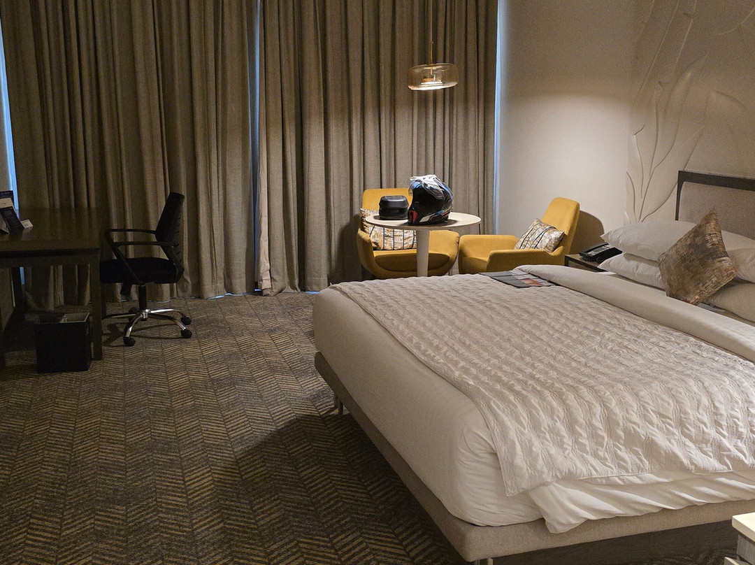 那格浦尔艾美酒店主图