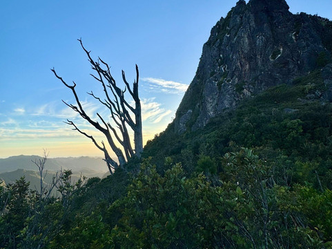 Kauaeranga Kauri Trail (Pinnacles Walk)-Thames必去景点