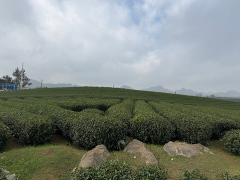 Andy Tourist-河内必去景点