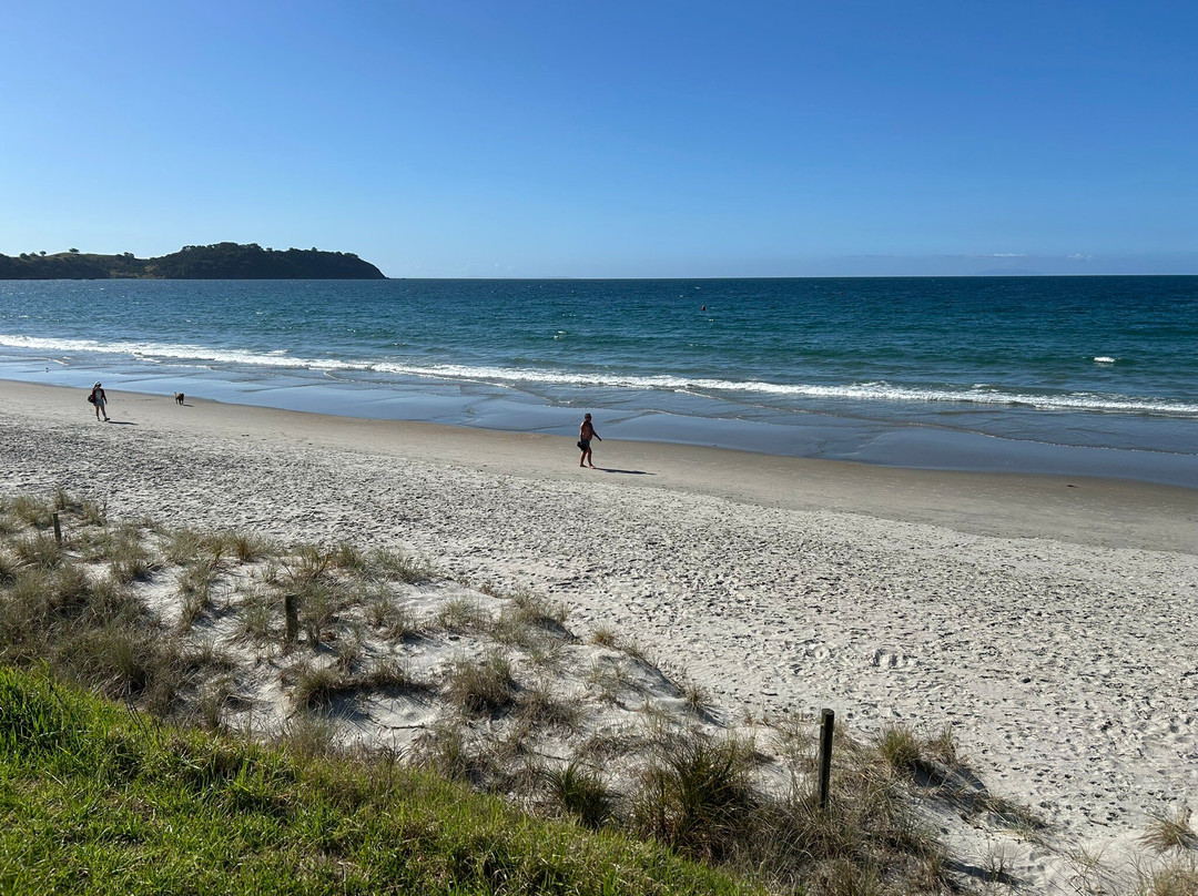 Big Aroha Tours-怀系奇岛必去景点