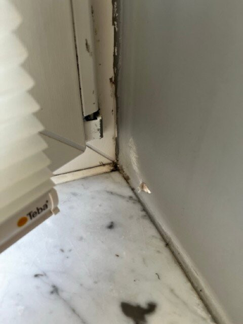 Jaumann's Südwind Sylt主图